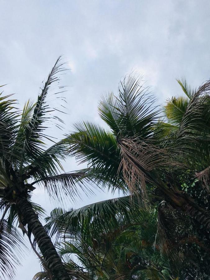 Chacara Recanto Paraiso Jarinu Eksteriør bilde